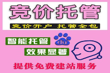 SEM代运营机构案例：关键词优化与广告投放